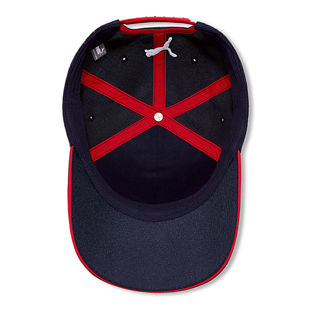 six panel driver cap